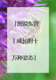 图说东营丨成长的十万种姿态