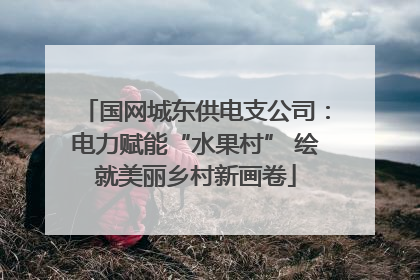 国网城东供电支公司：电力赋能“水果村” 绘就美丽乡村新画卷