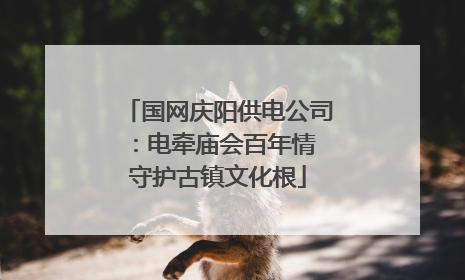 国网庆阳供电公司：电牵庙会百年情 守护古镇文化根