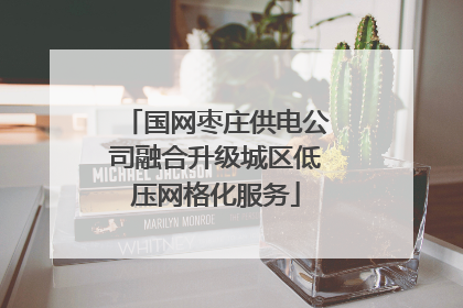国网枣庄供电公司融合升级城区低压网格化服务