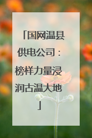 国网温县供电公司：榜样力量浸润古温大地