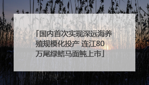 国内首次实现深远海养殖规模化投产 连江80万尾绿鳍马面鲀上市