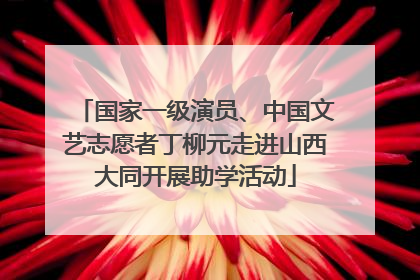 国家一级演员、中国文艺志愿者丁柳元走进山西大同开展助学活动
