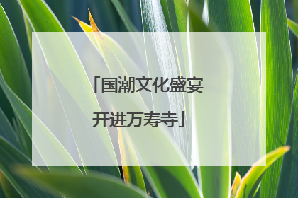 国潮文化盛宴开进万寿寺