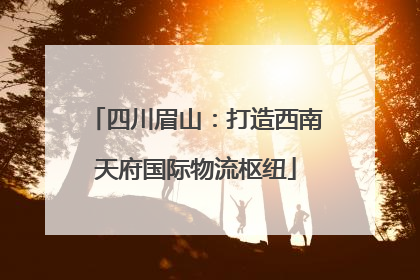 四川眉山：打造西南天府国际物流枢纽