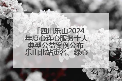 四川乐山2024年度心连心服务十大典型公益案例公布 乐山北站更名、绿心路井盖治理等上榜