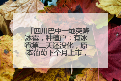 四川巴中一地突降冰雹，种植户：有冰雹第二天还没化，原本葡萄下个月上市，现在全被打落