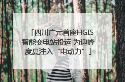 四川广元首座HGIS智能变电站投运 为迎峰度夏注入“电动力”