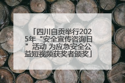 四川自贡举行2025年“安全宣传咨询日”活动 为应急安全公益短视频获奖者颁奖