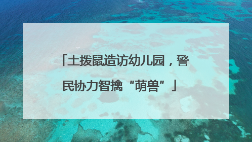 土拨鼠造访幼儿园，警民协力智擒“萌兽”