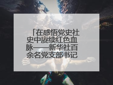在感悟党史社史中赓续红色血脉——新华社百余名党支部书记参加示范培训