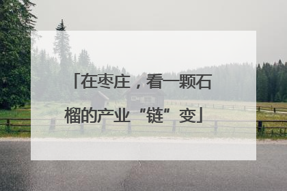 在枣庄，看一颗石榴的产业“链”变