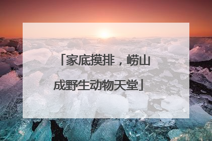 家底摸排，崂山成野生动物天堂
