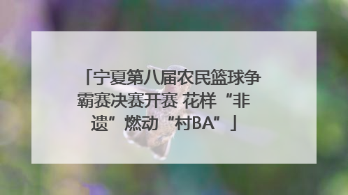 宁夏第八届农民篮球争霸赛决赛开赛 花样“非遗”燃动“村BA”