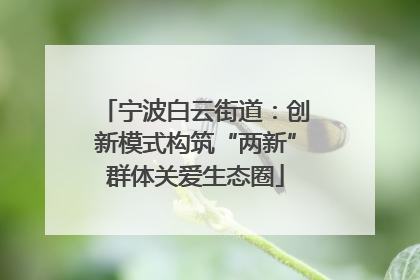 宁波白云街道：创新模式构筑“两新”群体关爱生态圈
