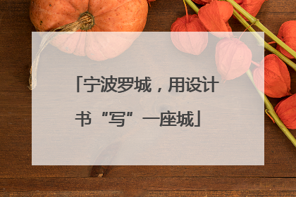 宁波罗城，用设计书“写”一座城