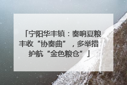 宁阳华丰镇：奏响夏粮丰收“协奏曲”，多举措护航“金色粮仓”