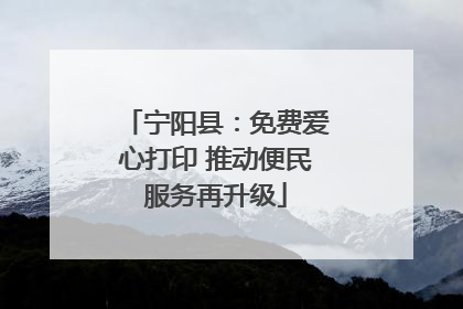宁阳县：免费爱心打印 推动便民服务再升级
