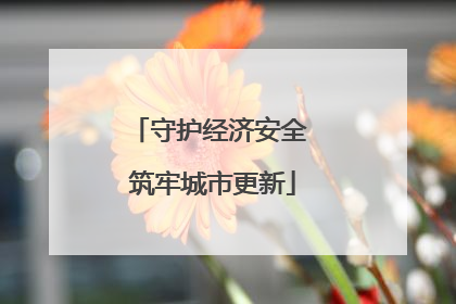 守护经济安全 筑牢城市更新