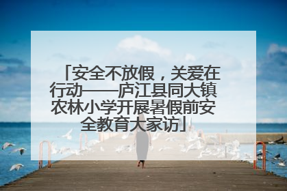 安全不放假，关爱在行动——庐江县同大镇农林小学开展暑假前安全教育大家访