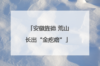 安徽旌德 荒山长出“金疙瘩”