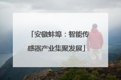 安徽蚌埠：智能传感器产业集聚发展