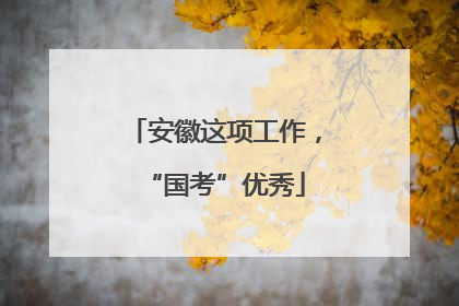 安徽这项工作，“国考”优秀