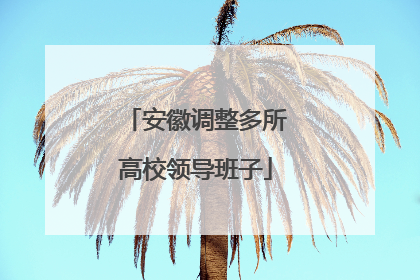 安徽调整多所高校领导班子