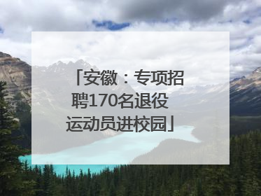 安徽：专项招聘170名退役运动员进校园