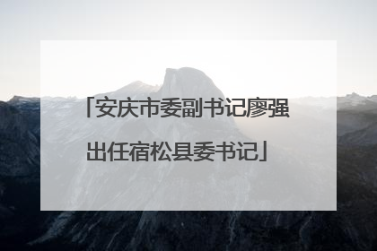 安庆市委副书记廖强出任宿松县委书记