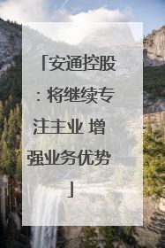 安通控股：将继续专注主业 增强业务优势