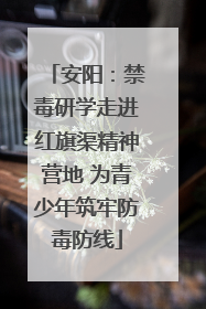 安阳：禁毒研学走进红旗渠精神营地 为青少年筑牢防毒防线