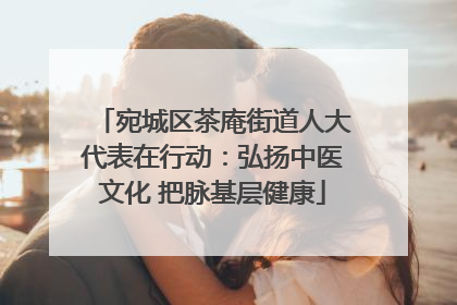 宛城区茶庵街道人大代表在行动：弘扬中医文化 把脉基层健康