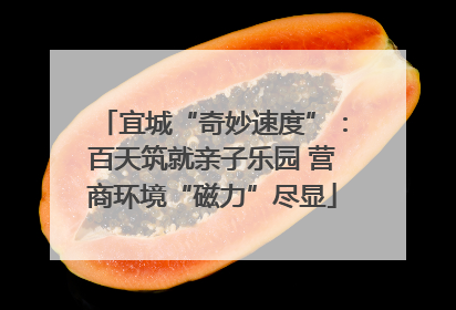 宜城“奇妙速度”：百天筑就亲子乐园 营商环境“磁力”尽显