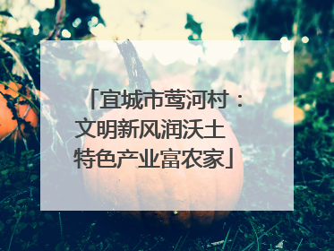 宜城市莺河村：文明新风润沃土 特色产业富农家