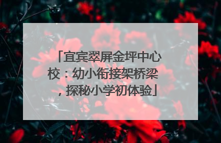 宜宾翠屏金坪中心校：幼小衔接架桥梁，探秘小学初体验