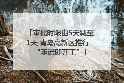 审批时限由5天减至1天 青岛高新区推行“承诺即开工”