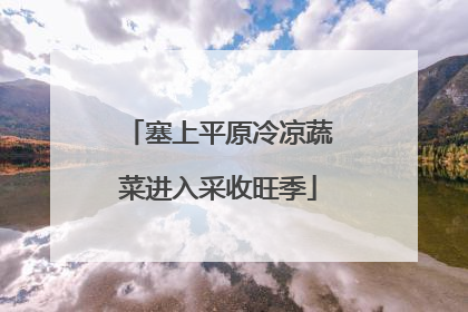 塞上平原冷凉蔬菜进入采收旺季