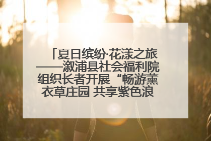 夏日缤纷·花漾之旅——溆浦县社会福利院组织长者开展“畅游薰衣草庄园 共享紫色浪漫”户外活动