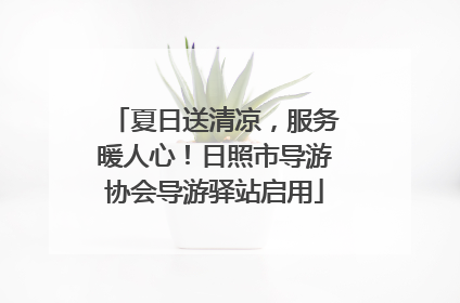 夏日送清凉，服务暖人心！日照市导游协会导游驿站启用