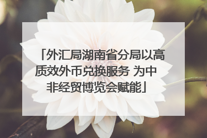 外汇局湖南省分局以高质效外币兑换服务 为中非经贸博览会赋能