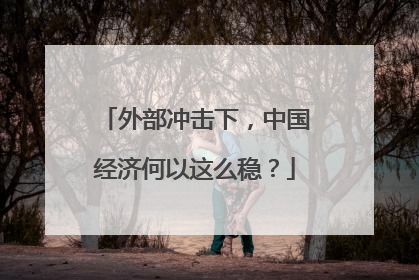 外部冲击下，中国经济何以这么稳？