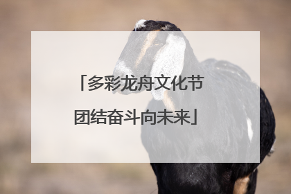 多彩龙舟文化节 团结奋斗向未来