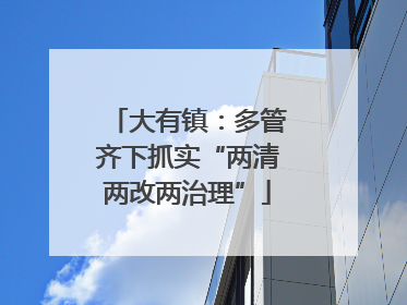大有镇：多管齐下抓实“两清两改两治理”