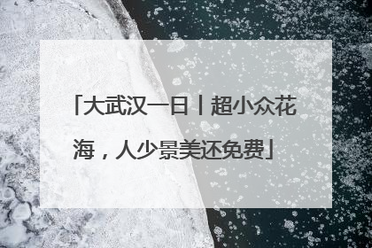 大武汉一日丨超小众花海，人少景美还免费
