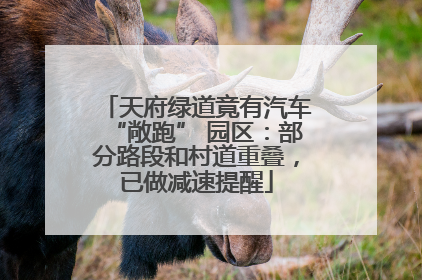 天府绿道竟有汽车“敞跑” 园区：部分路段和村道重叠，已做减速提醒