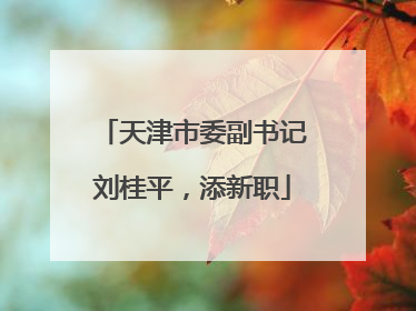 天津市委副书记刘桂平，添新职