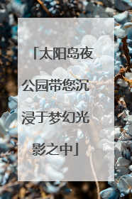 太阳岛夜公园带您沉浸于梦幻光影之中