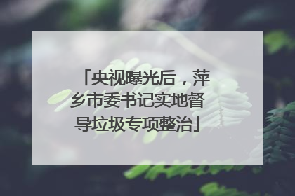 央视曝光后，萍乡市委书记实地督导垃圾专项整治