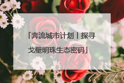 奔流城市计划丨探寻戈壁明珠生态密码